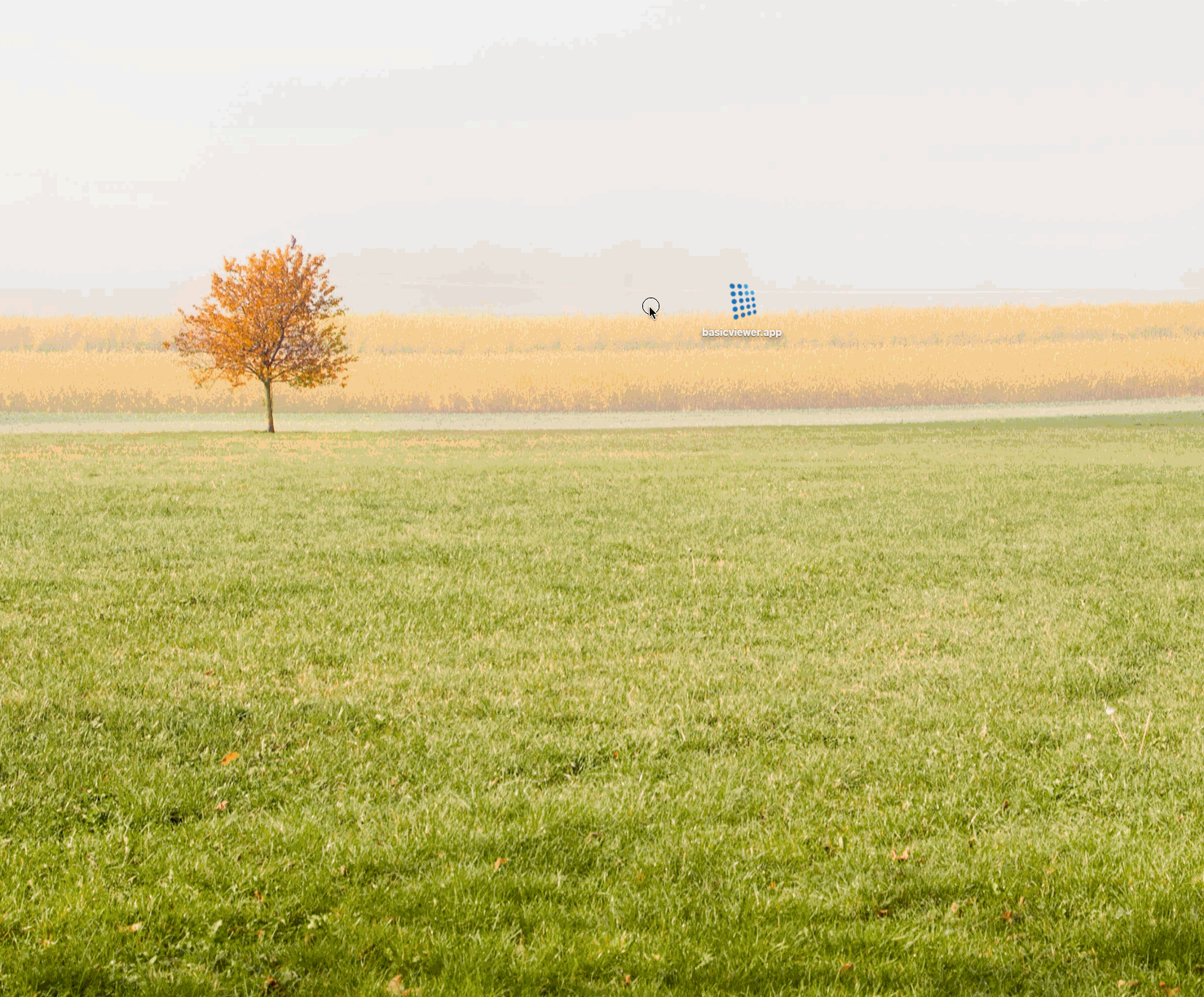 jadice Desktop-Software mit Electron-Technologie Animation der jadice Desktop-Software auf Basis von Electron